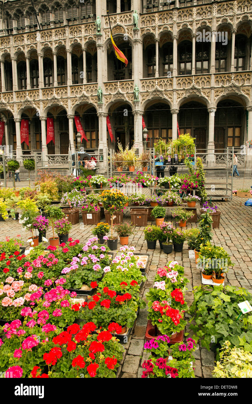Flower market in the Grand Place in Brussels Stock Photo Alamy