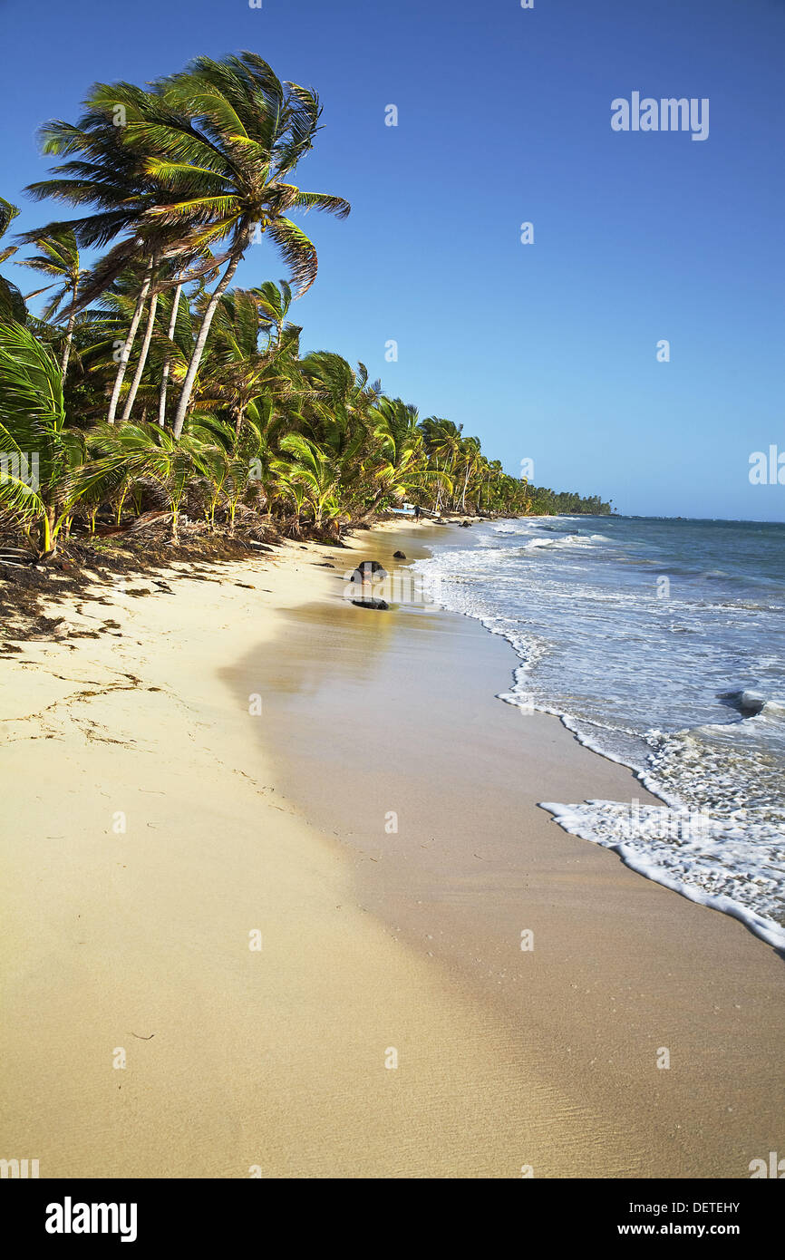Iguana Beach, Little Corn Island, Corn Islands, Nicaragua Stock Photo