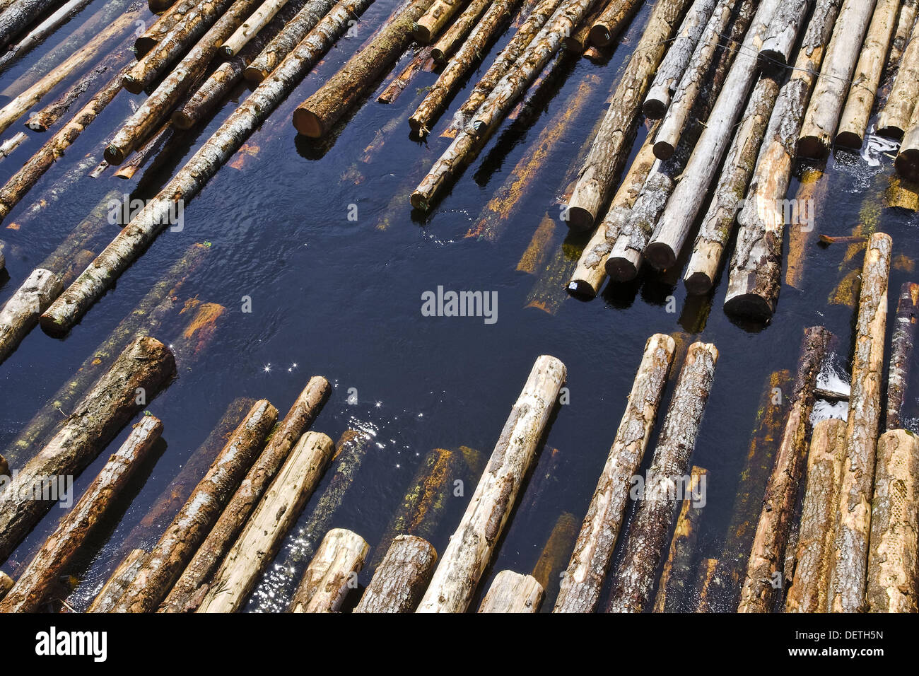 Pool in log float In British Columbia logs are towed by tug to nearby