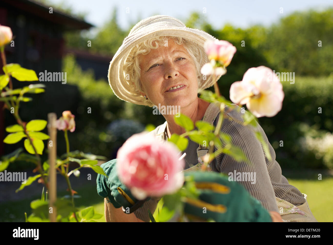 Relaxed mature lady working in her garden - Outdoors Stock Photo
