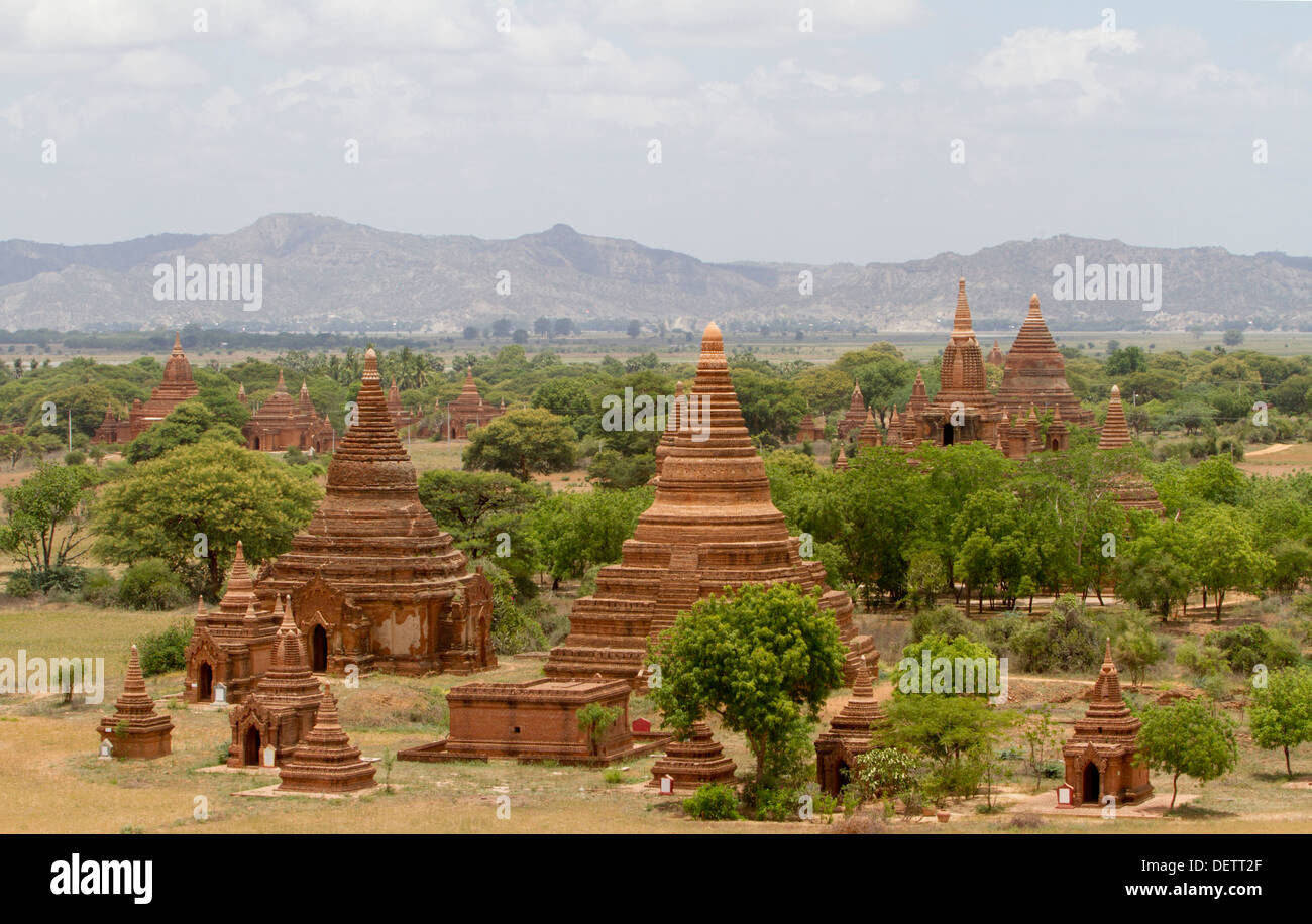 A view of Temples in the central plain of Bagan. Stock Photo