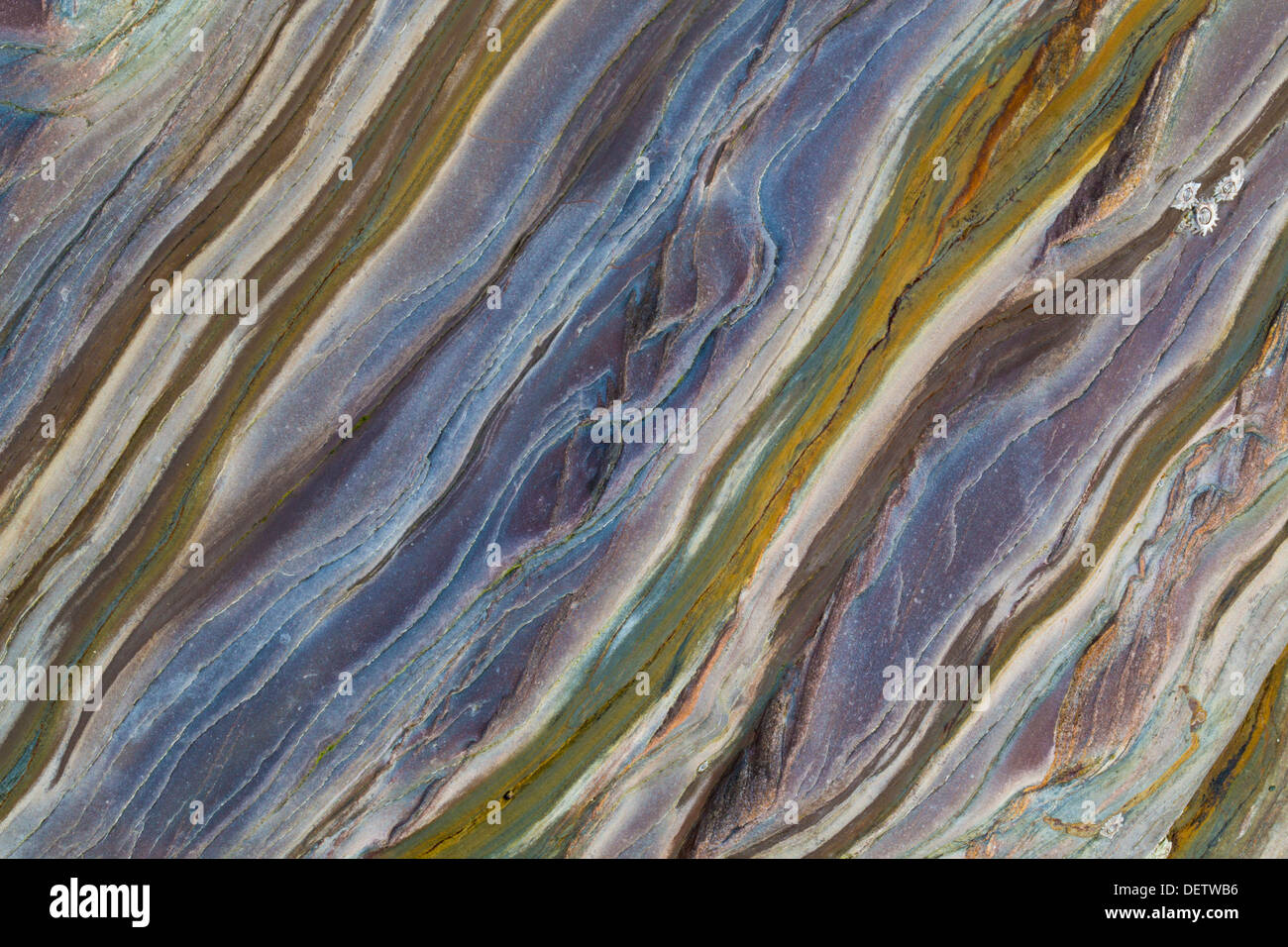 Slate Patterns; Geology; Polzeath; Cornwall; UK Stock Photo