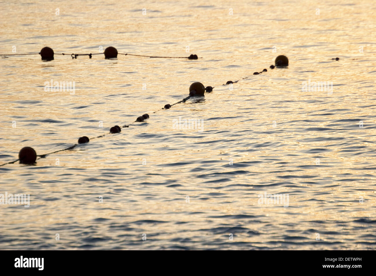 buoys and line determine swimming area Stock Photo Alamy