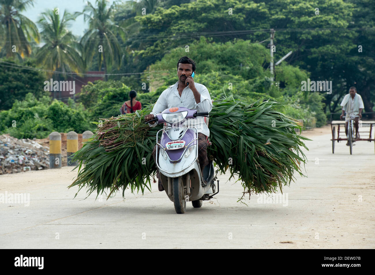 Indian man on a motorcycle on his mobile phone whilst carrying cut plants. Andhra Pradesh, India Stock Photo
