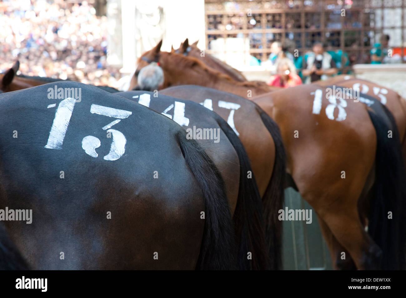 Europe, Italy, Tuscany, Siena, Palio race Stock Photo