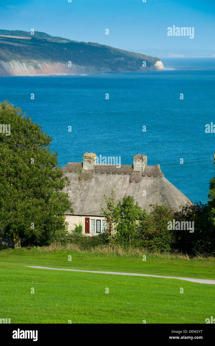 A thatched cottage beside the sea at Beer, Devon, England, UK Stock Photo Alamy