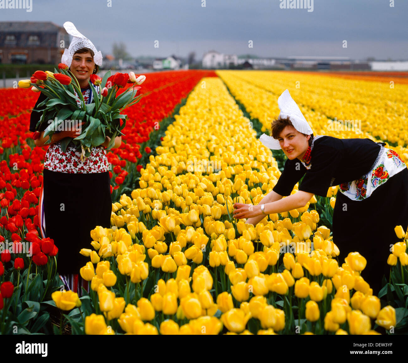 Lisse Holland Bulb Fields - Tulips Girls In National Costume Stock Photo