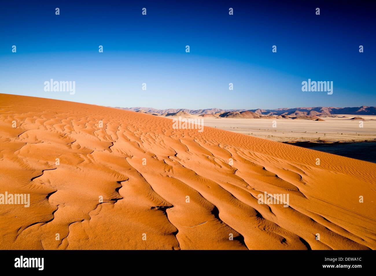 Martin Brodeur : le plaisir de jouer