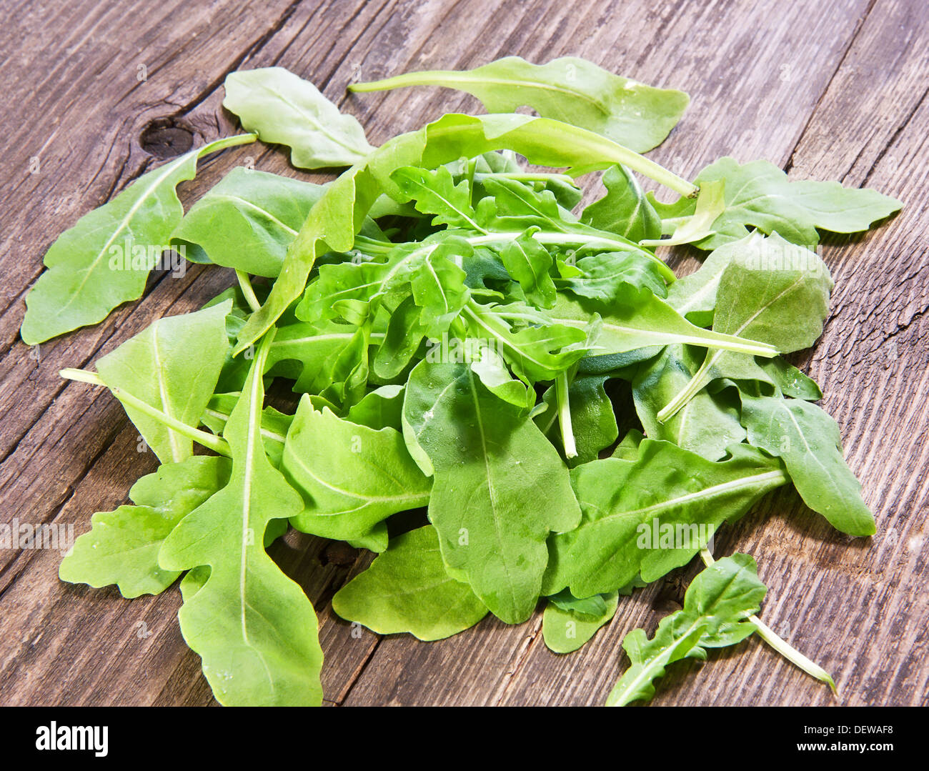 Roquette leaves hi-res stock photography and images - Alamy