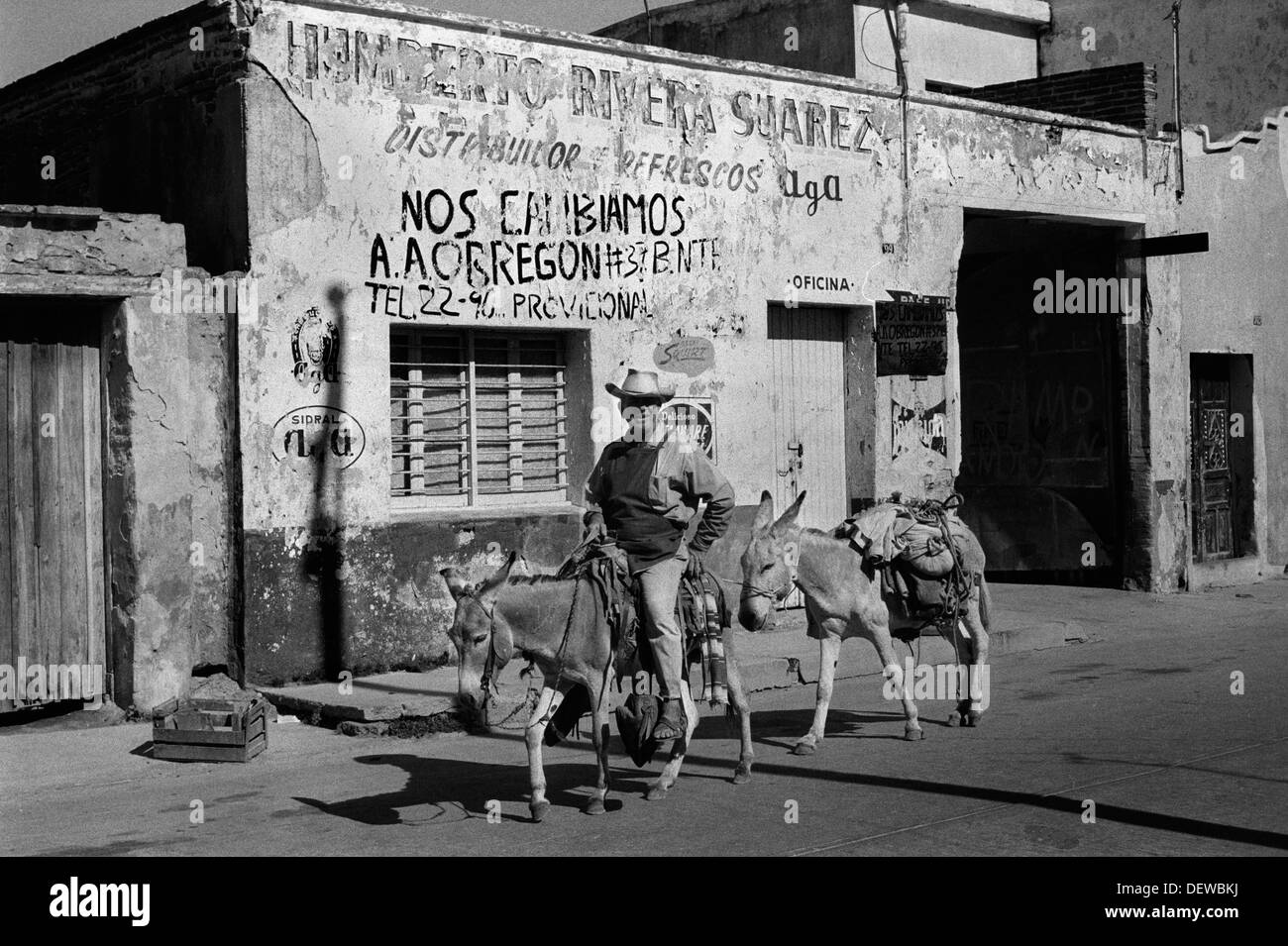 Donkey Mexico man riding donkeys into town 1970s. Mazatlan State of Sinaloa 1973 HOMER SYKES Stock Photo
