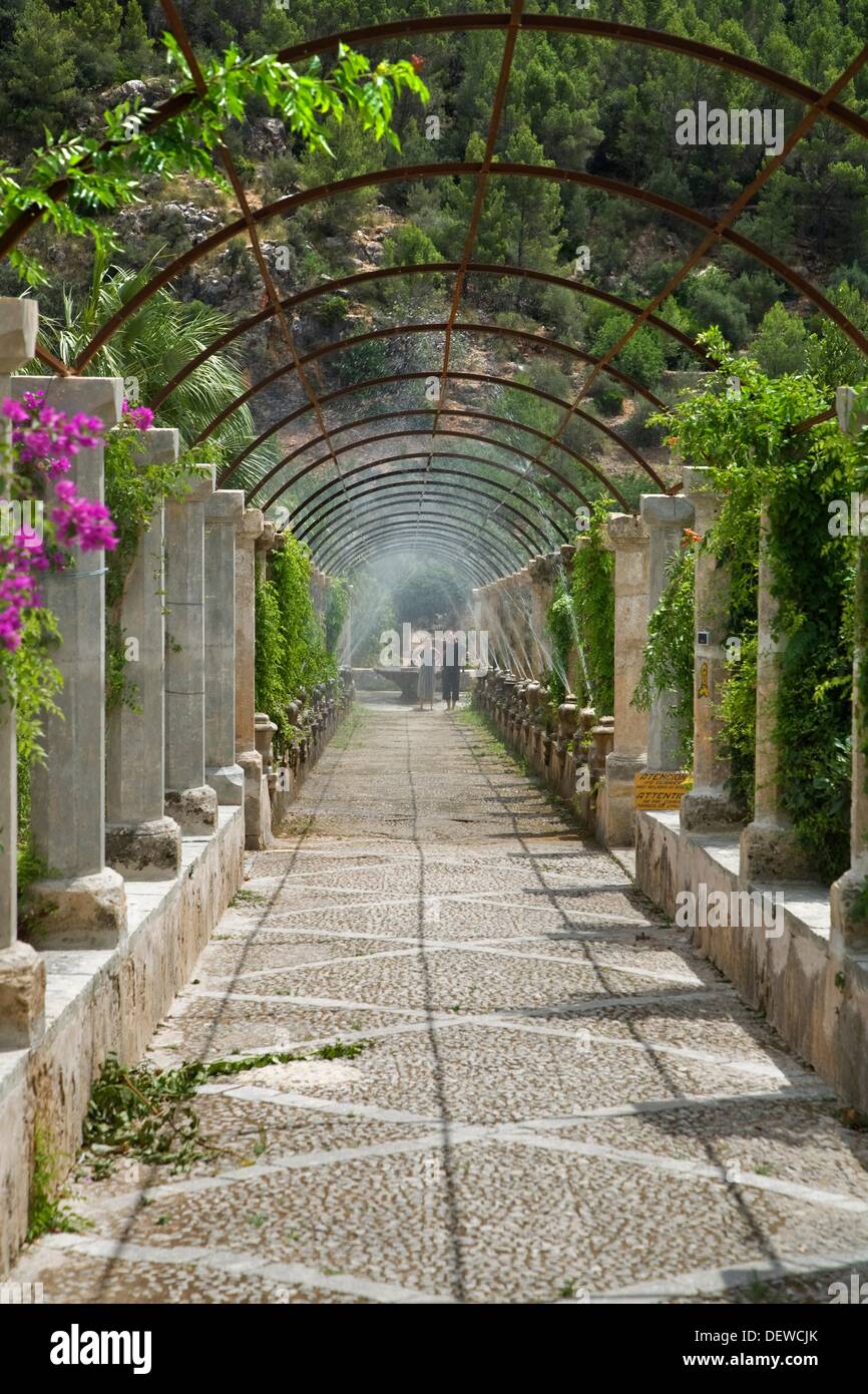 Gardens in Alfabia. House of the arabic viceroy of Majorca. Alfabia