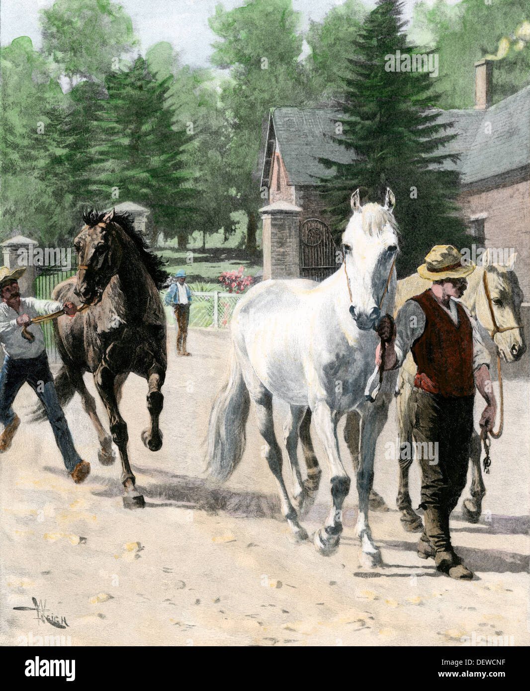 Exercising some trotting champion mares at Woodburn Farm, Kentucky, 1890s. Hand-colored woodcut Stock Photo