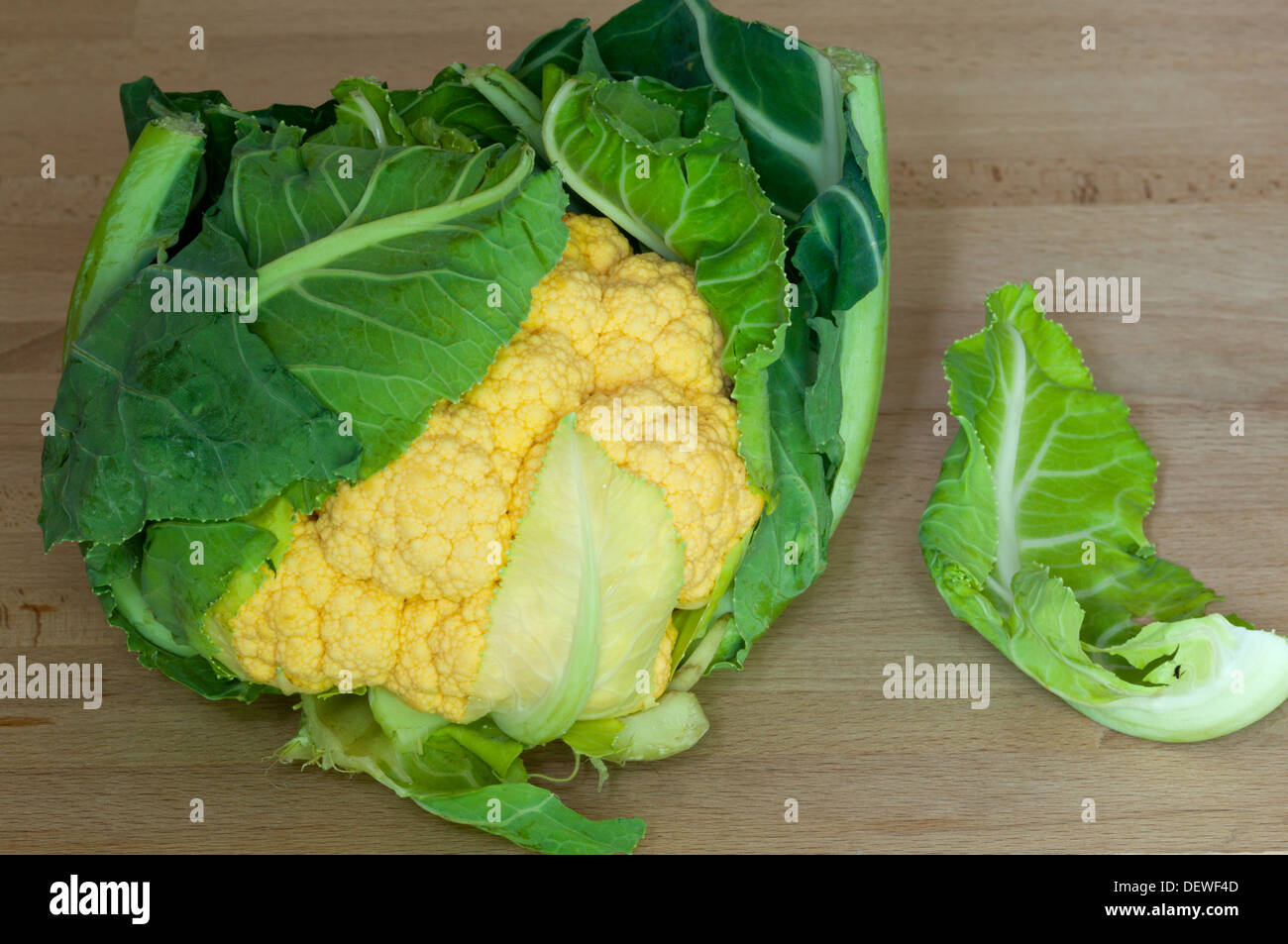 An Orange Cauliflower variety Stock Photo Alamy