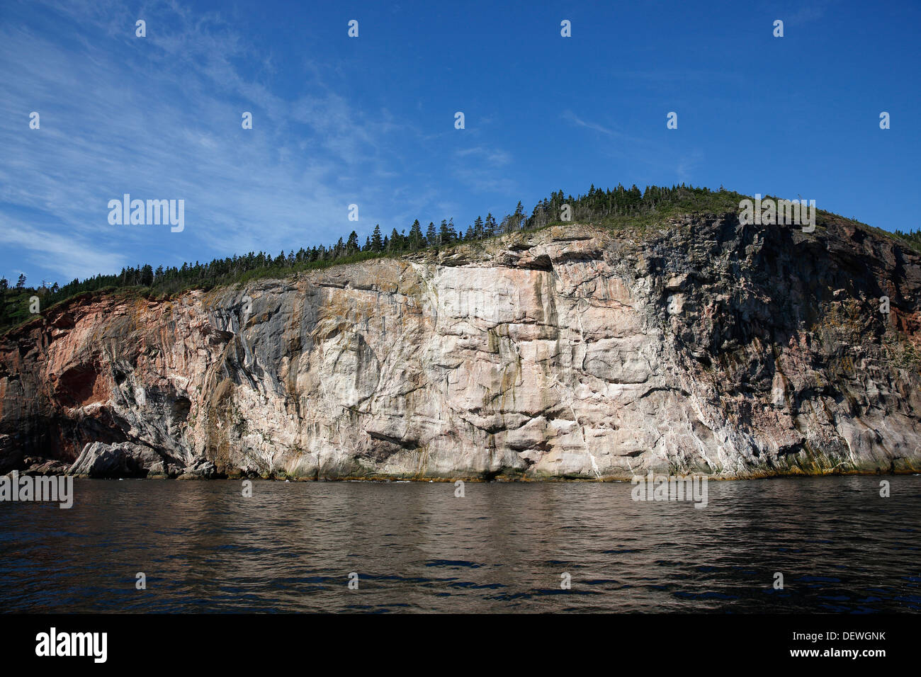 Cliff face, Bonaventure Island, Percé, Québec, Canada Stock Photo