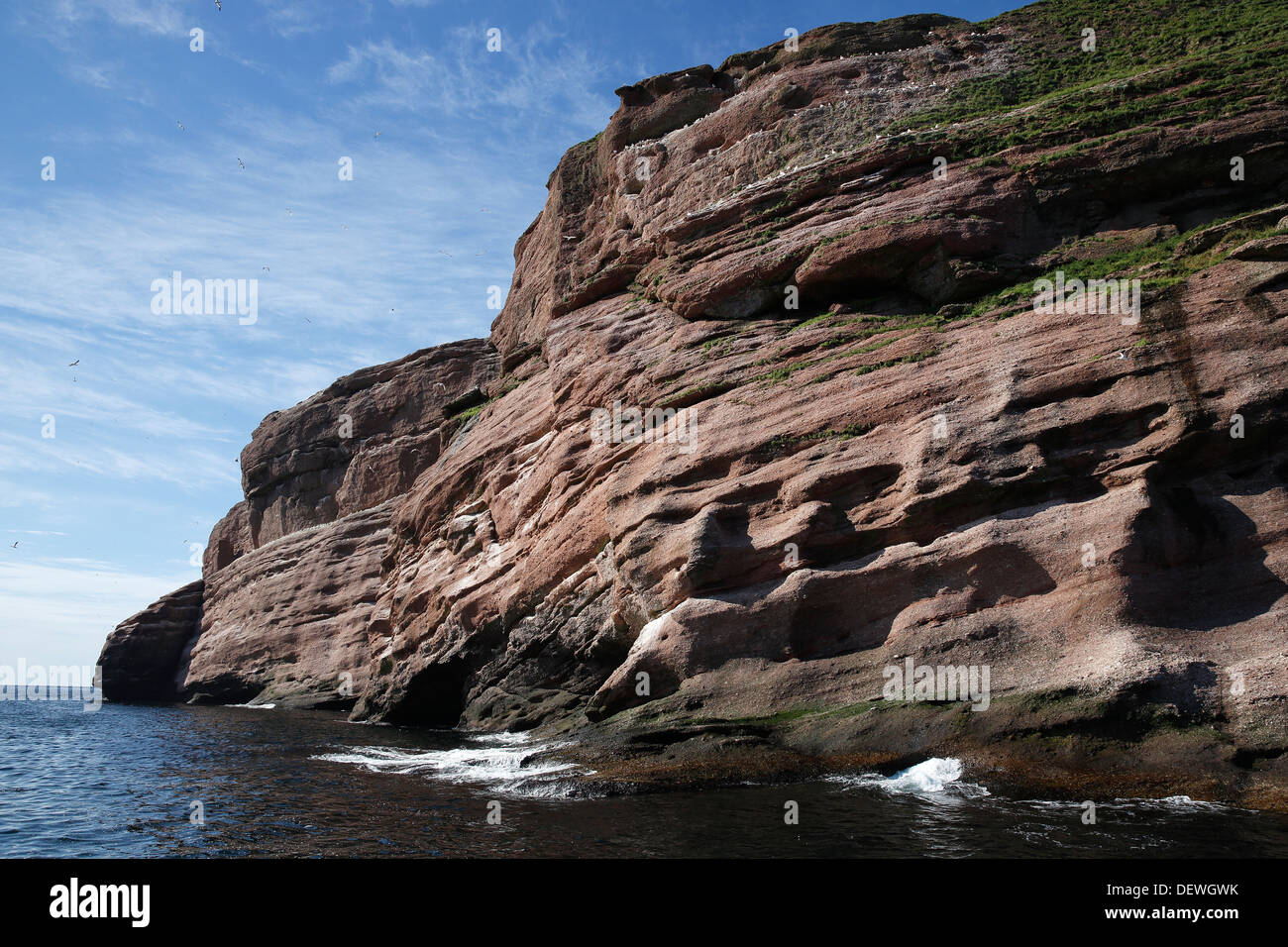 Cliff face, Bonaventure Island, Percé, Québec, Canada Stock Photo