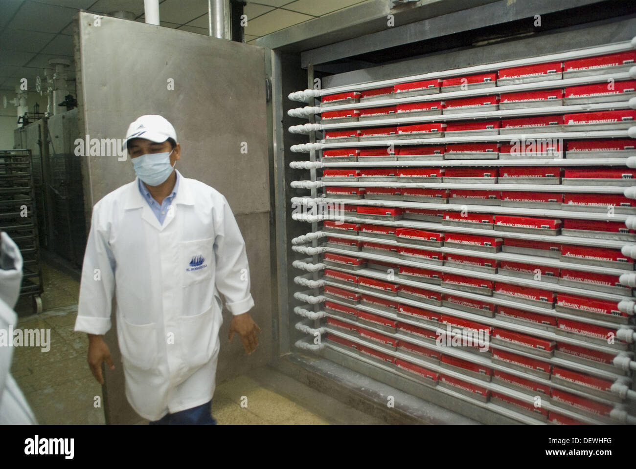 Ecuador. Guayaquil city. Factory shrimp and fish processing. Freezing