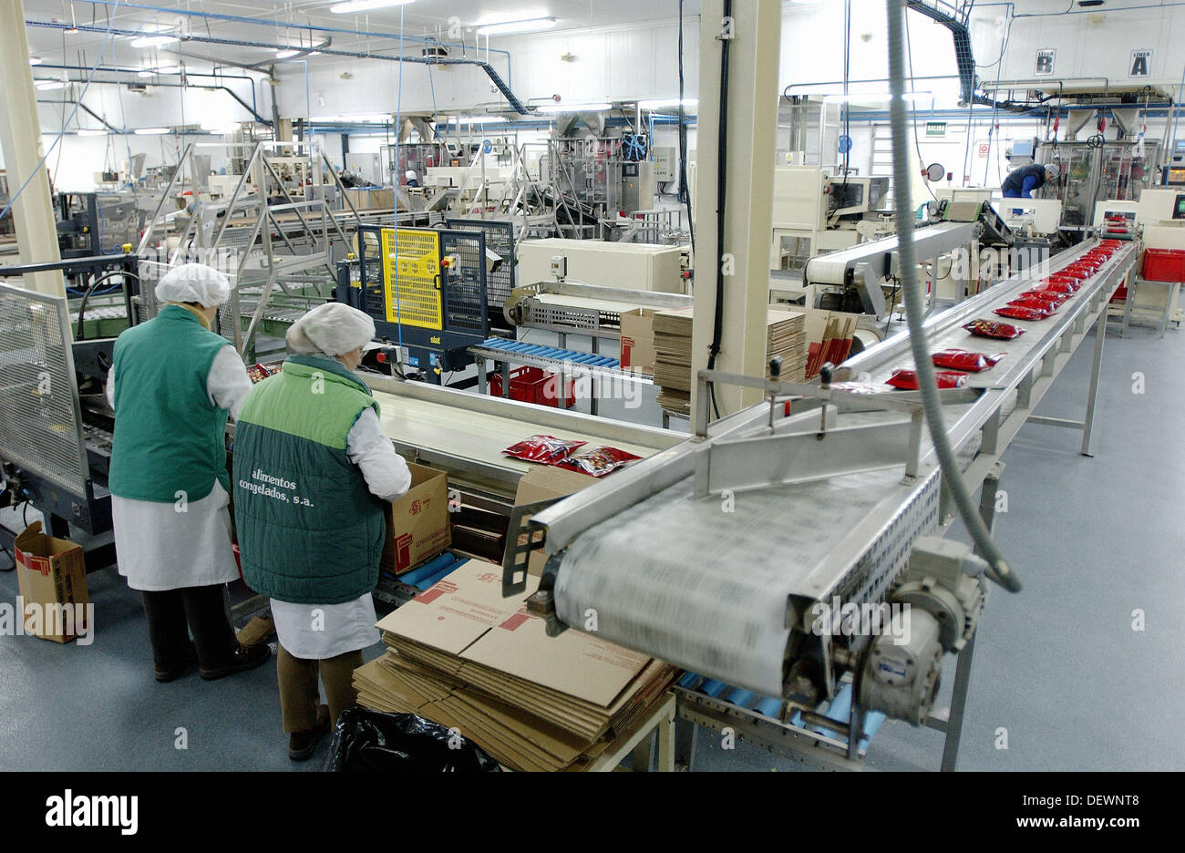 Frozen food industry, packing line. Navarre. Spain Stock Photo