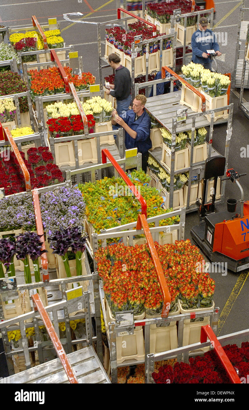 Distribution hall, Flower Auction (Bloemenveiling) Aalsmeer