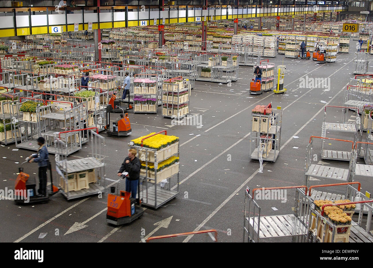 Distribution hall, Flower Auction (Bloemenveiling) Aalsmeer