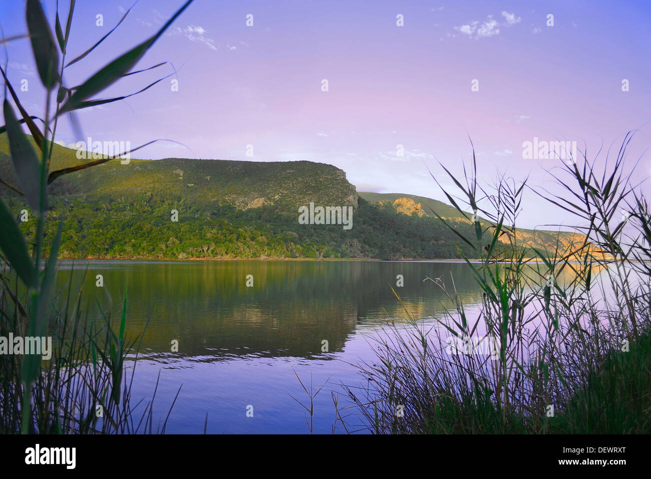 Nature riverside hi-res stock photography and images - Alamy