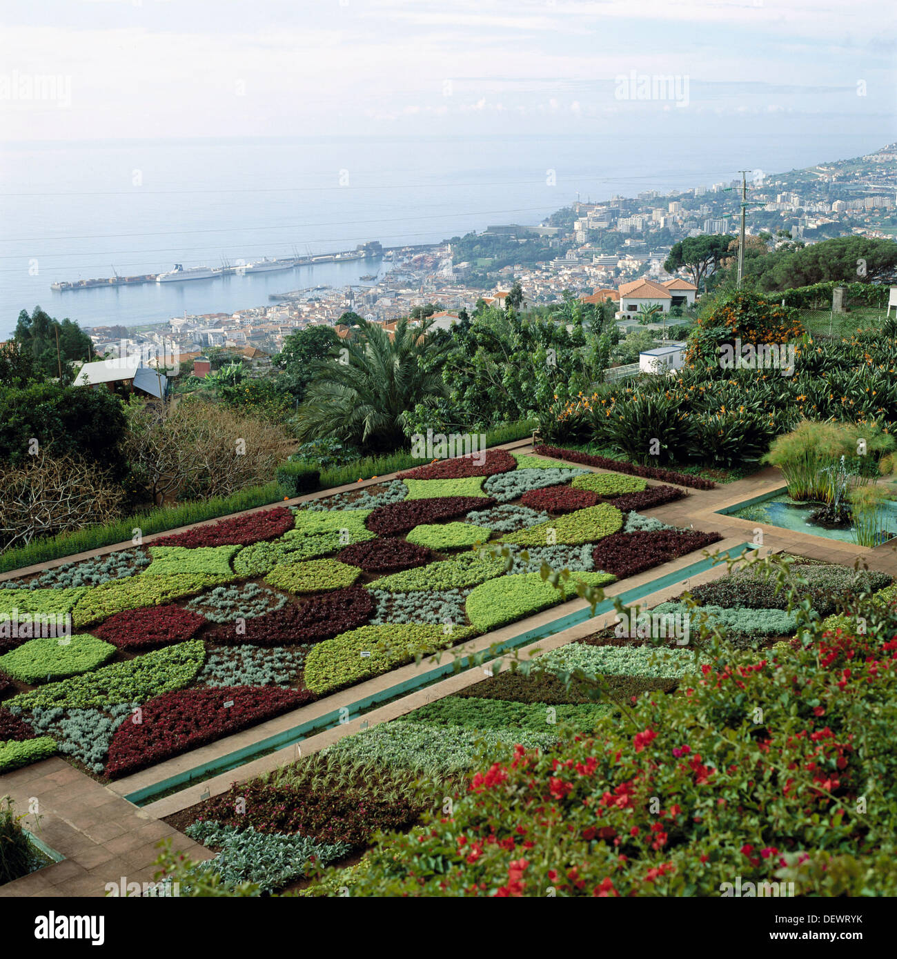 Botanical Garden in Funchal City. Madeira Island. Portugal Stock Photo