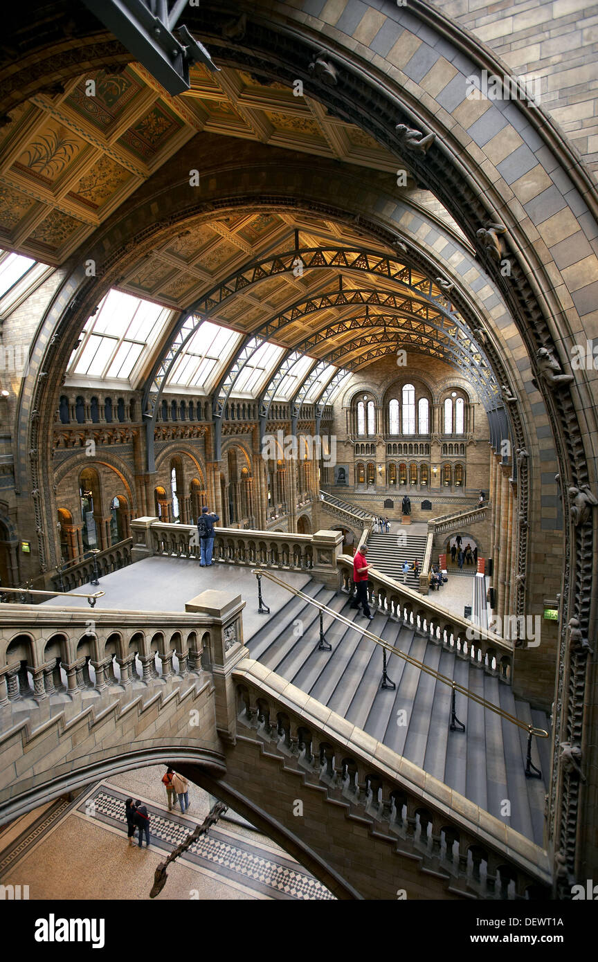 Central Hall, Natural History Museum, London. England, UK Stock Photo