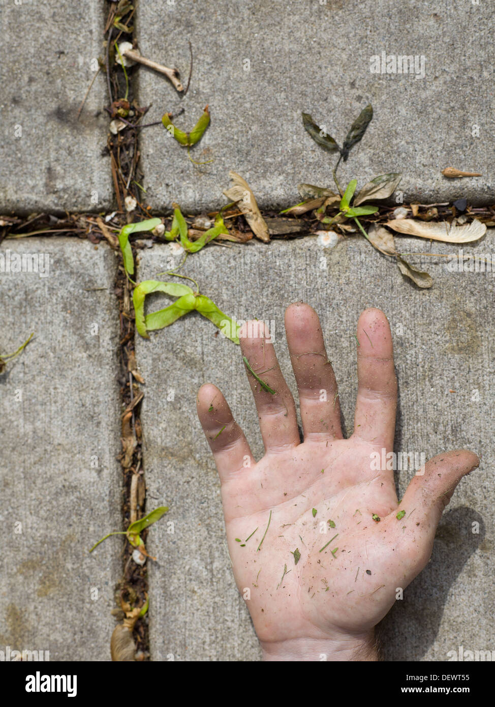 Grass covered hand Stock Photo Alamy