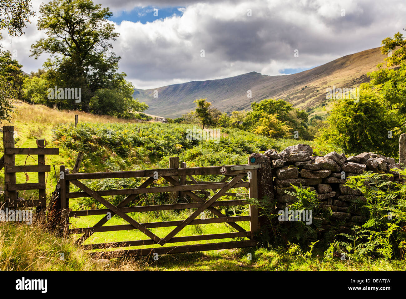 A five bar wooden gate across a public footpath in the Cwm Oergwm in the Brecon Beacons National Park. Stock Photo