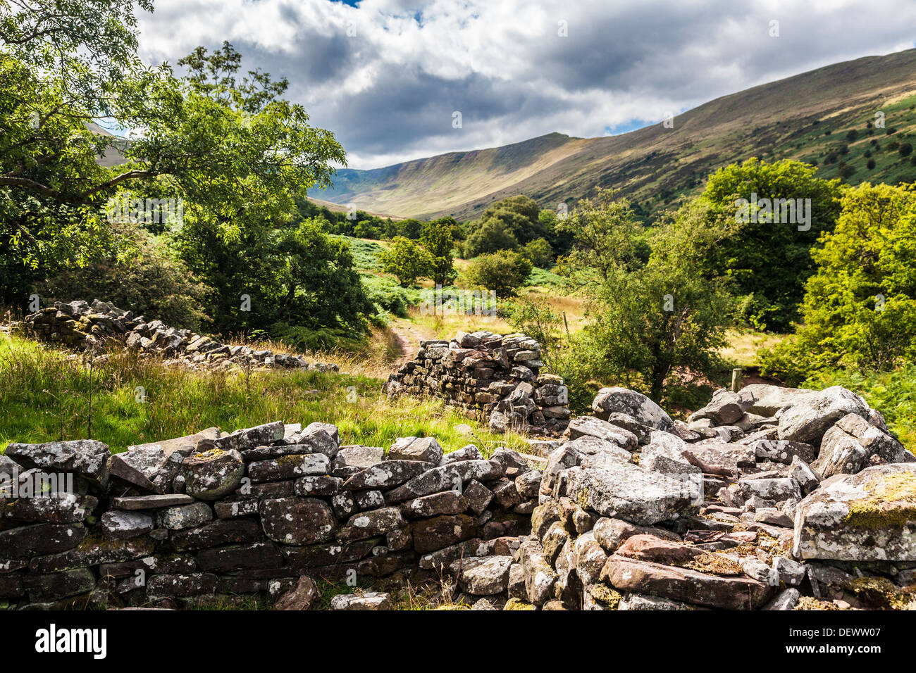 A tumbledown dry stone wall along a public footpath in the Cwm Oergwm in the Brecon Beacons National Park. Stock Photo