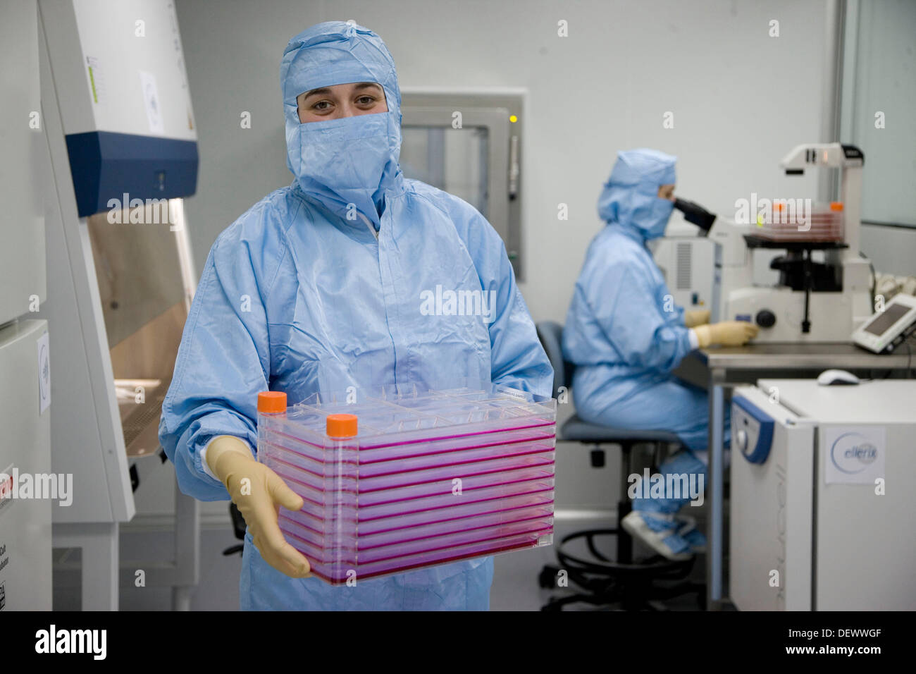 Clean room, cultures, biopharmaceutical lab, development and production