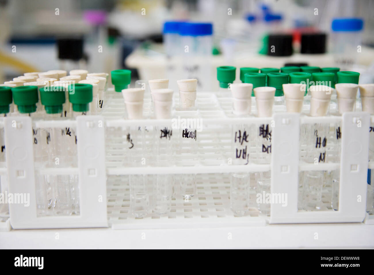 Research and Development laboratory. Functional biomolecules in food extraction. AZTITecnalia