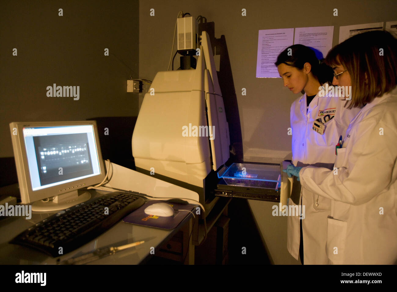 UV Transilluminator for visualization of Agarose Gel Electrophoresis. Chemidoc System. Biotechnology Laboratory, Neiker Stock Photo