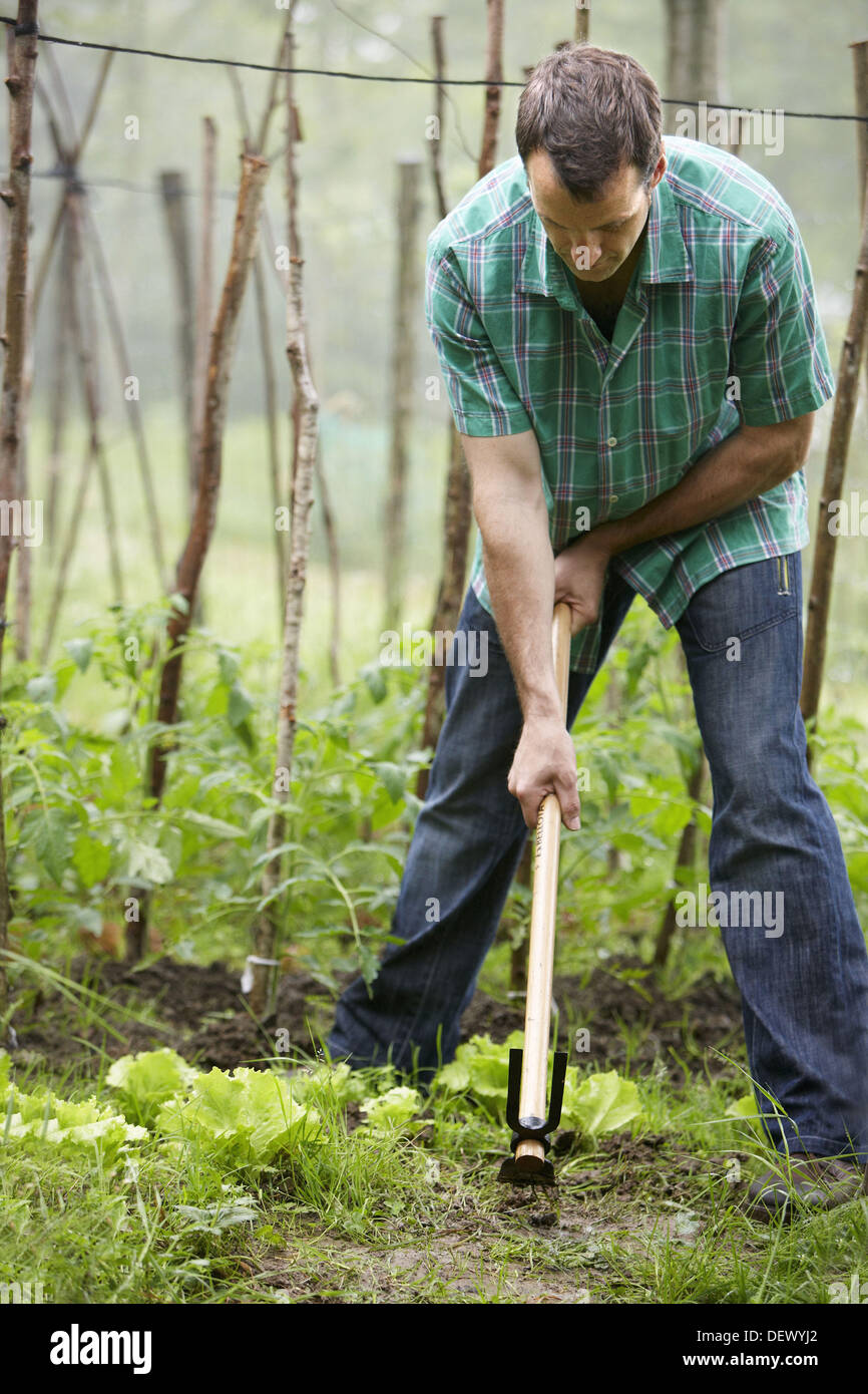 Farmer using hoe, hand tool, farming, kitchen garden, Guipuzcoa, Basque Country, Spain Stock