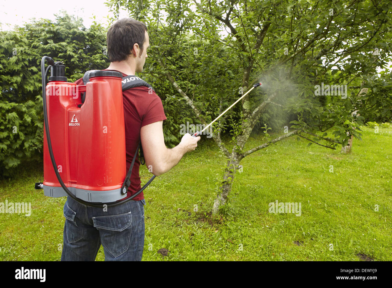 Sprayer to apply liquid fertilizer, herbicide or water, Guipuzcoa, Basque Country, Spain Stock Photo