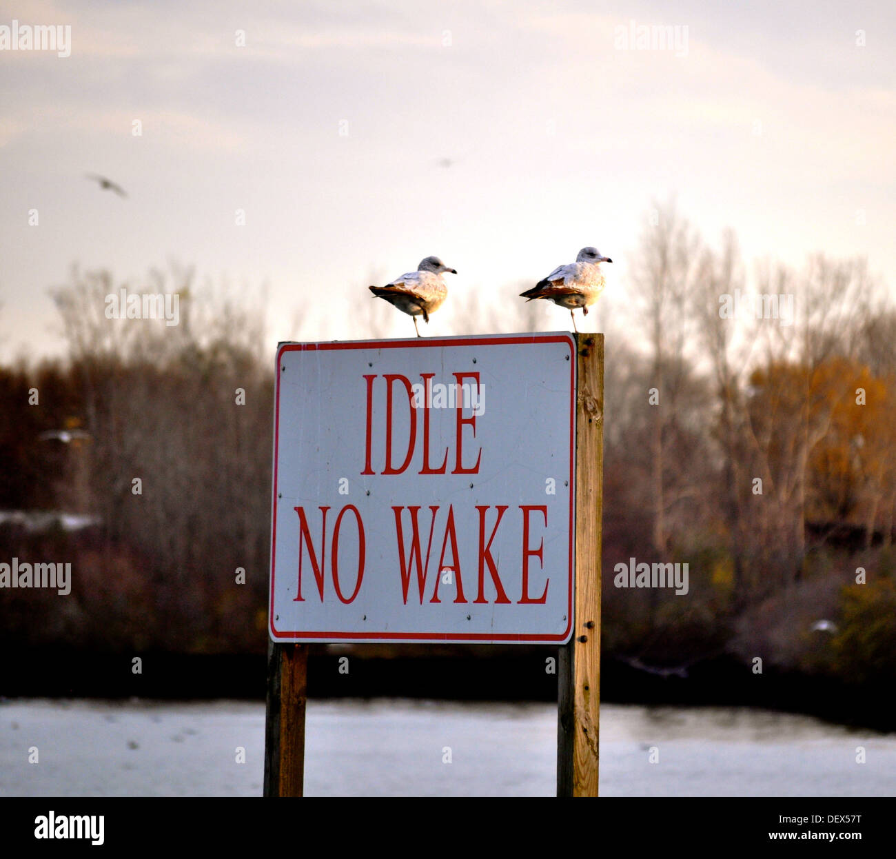 Sign Idle No Wake Stock Photo