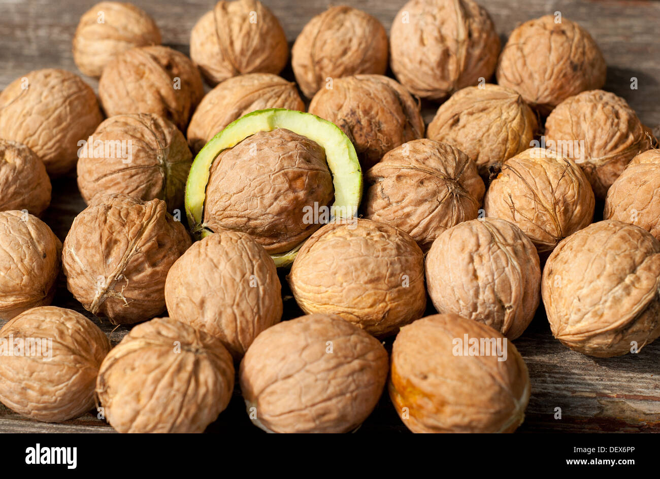 Walnuts on the table Stock Photo