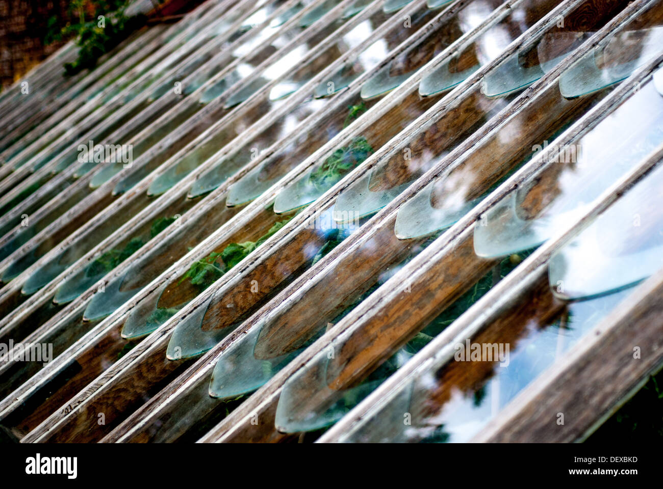Vintage greenhouse hires stock photography and images Alamy