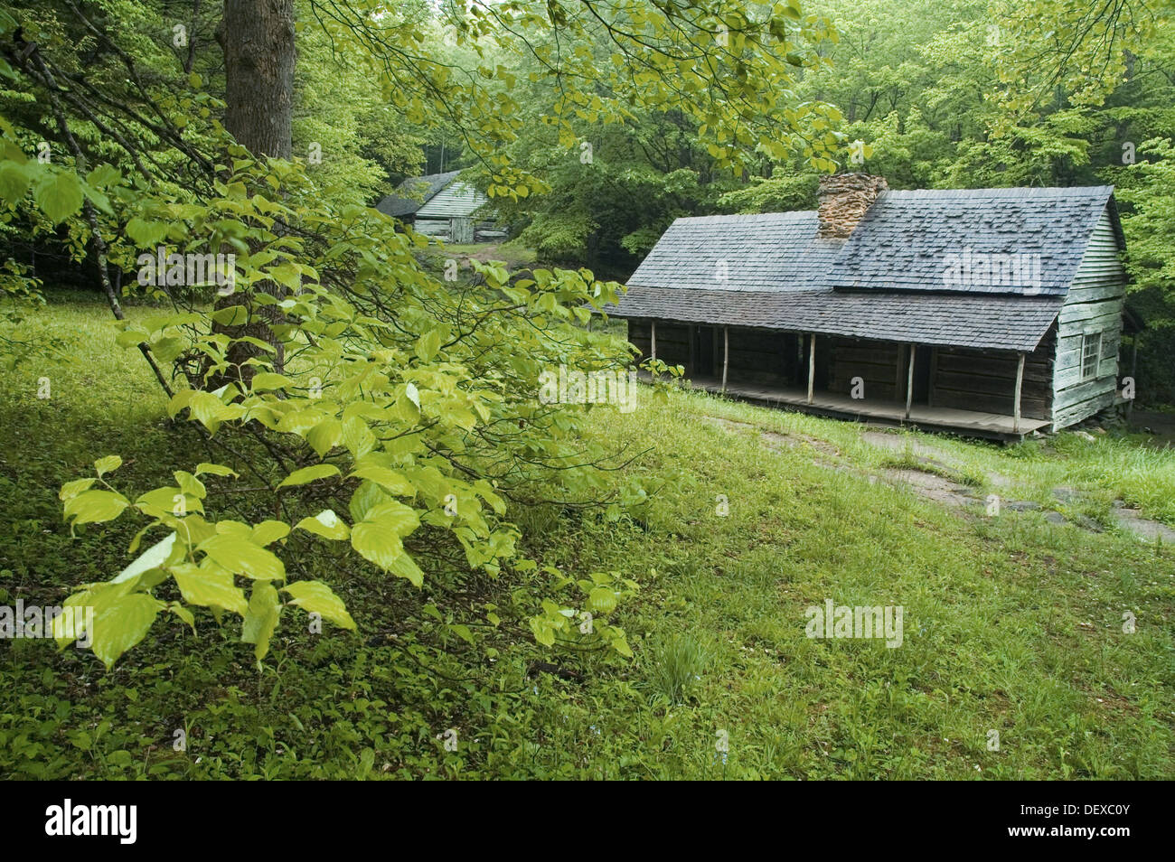 Noah Bud Ogle Cabin Great Smoky Mtns Nat Park Tn Stock Photo