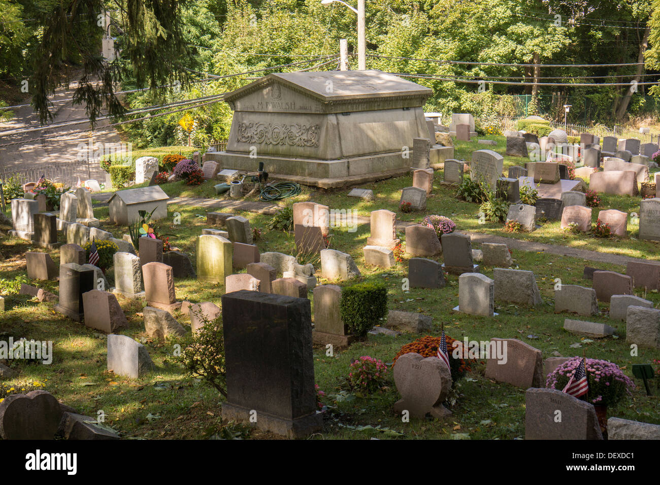 Gravestones for owners' beloved pets in the Hartsdale Pet Cemetery in