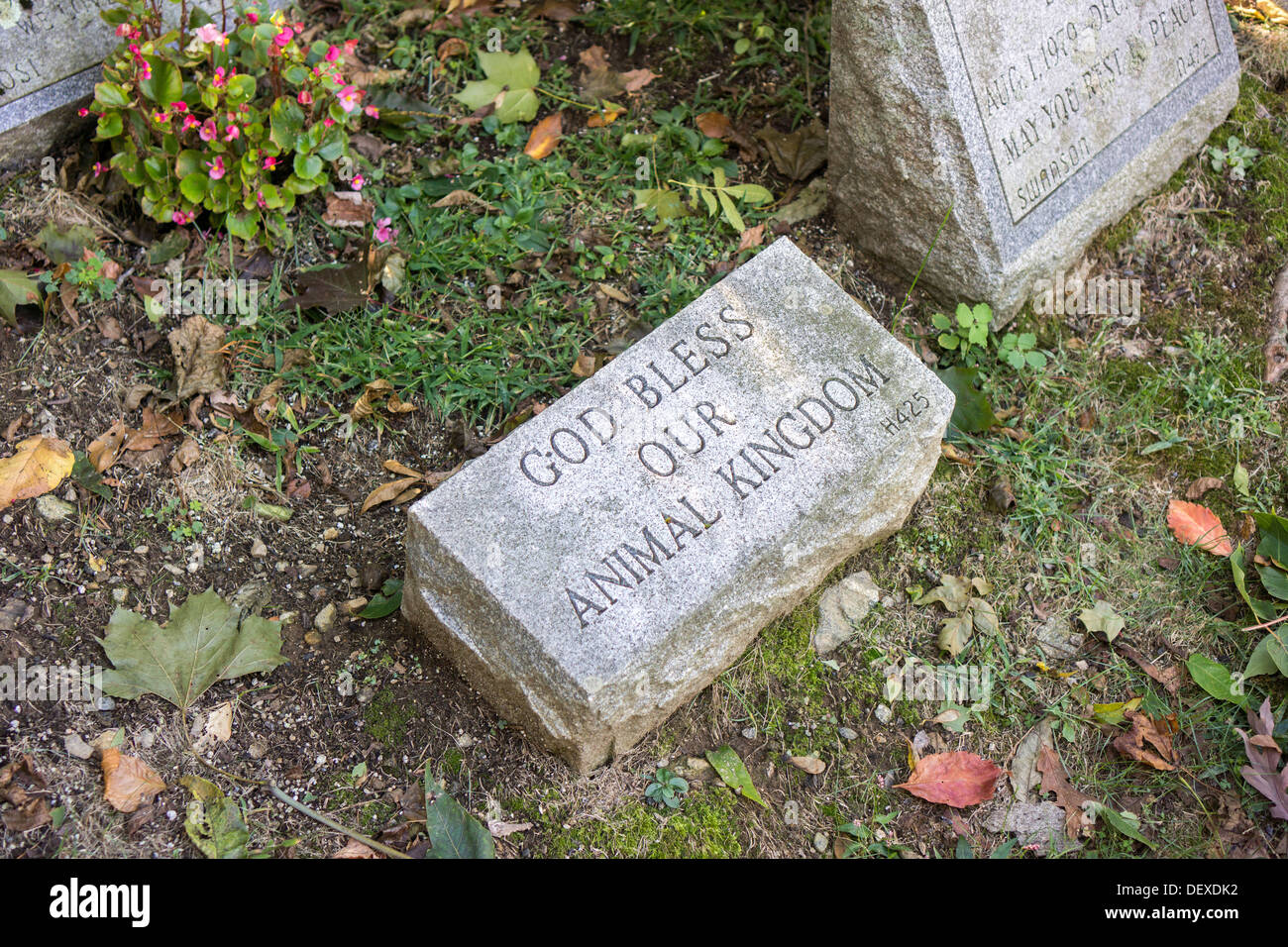 Gravestones for owners' beloved pets in the Hartsdale Pet Cemetery in