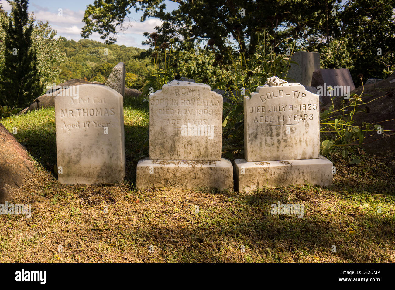 Gravestones for owners' beloved pets in the Hartsdale Pet Cemetery in
