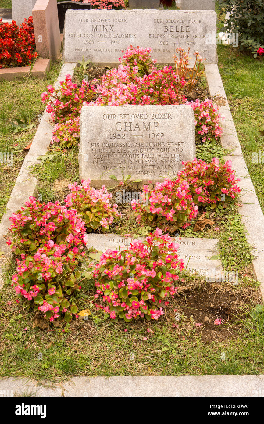 Gravestones for owners' beloved pets in the Hartsdale Pet Cemetery in
