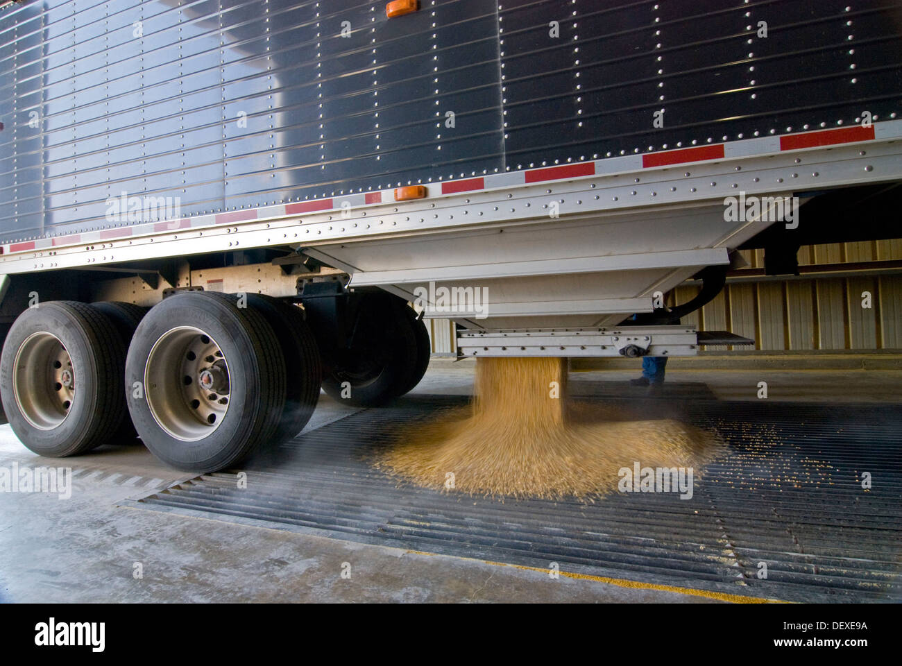 Corn delivery at ethanol plant, Richardton, North Dakota Stock Photo