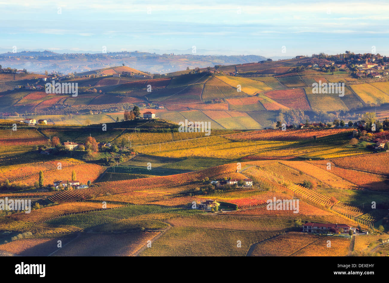 Early morning view of colorful autumnal vineyards on the hills of Piedmont, Northern Italy. Stock Photo