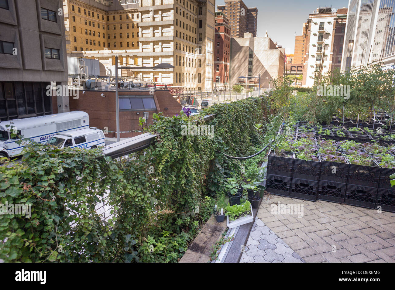 Milk crates hires stock photography and images Alamy