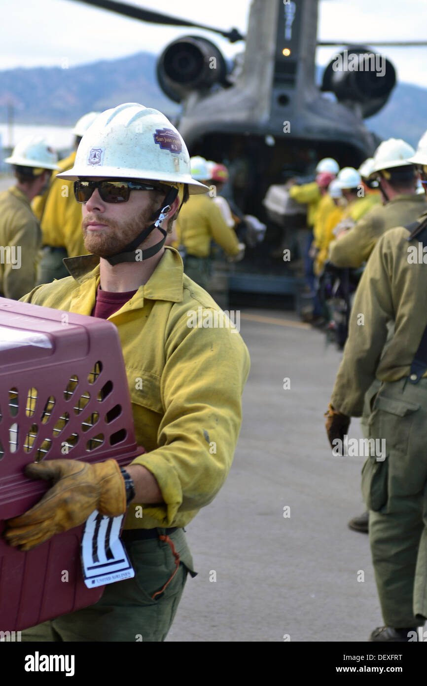 Zach Freundlich, with the San Juan Interagency Hotshots crew based in Durango, Colo., helps unload animals and evacuees off a U.S. Army CH-47 Chinook helicopter assigned to the 2nd General Support Aviation Battalion, 4th Aviation Regiment, 4th Combat Avia Stock Photo
