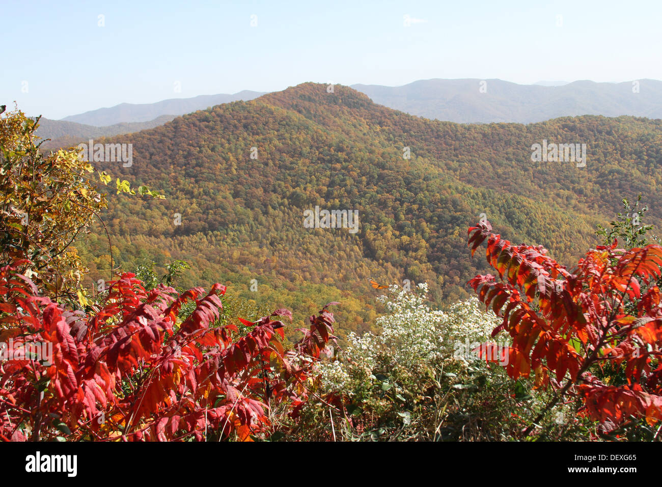 The Appalachian Mountains covered with colorful autumn color Stock Photo