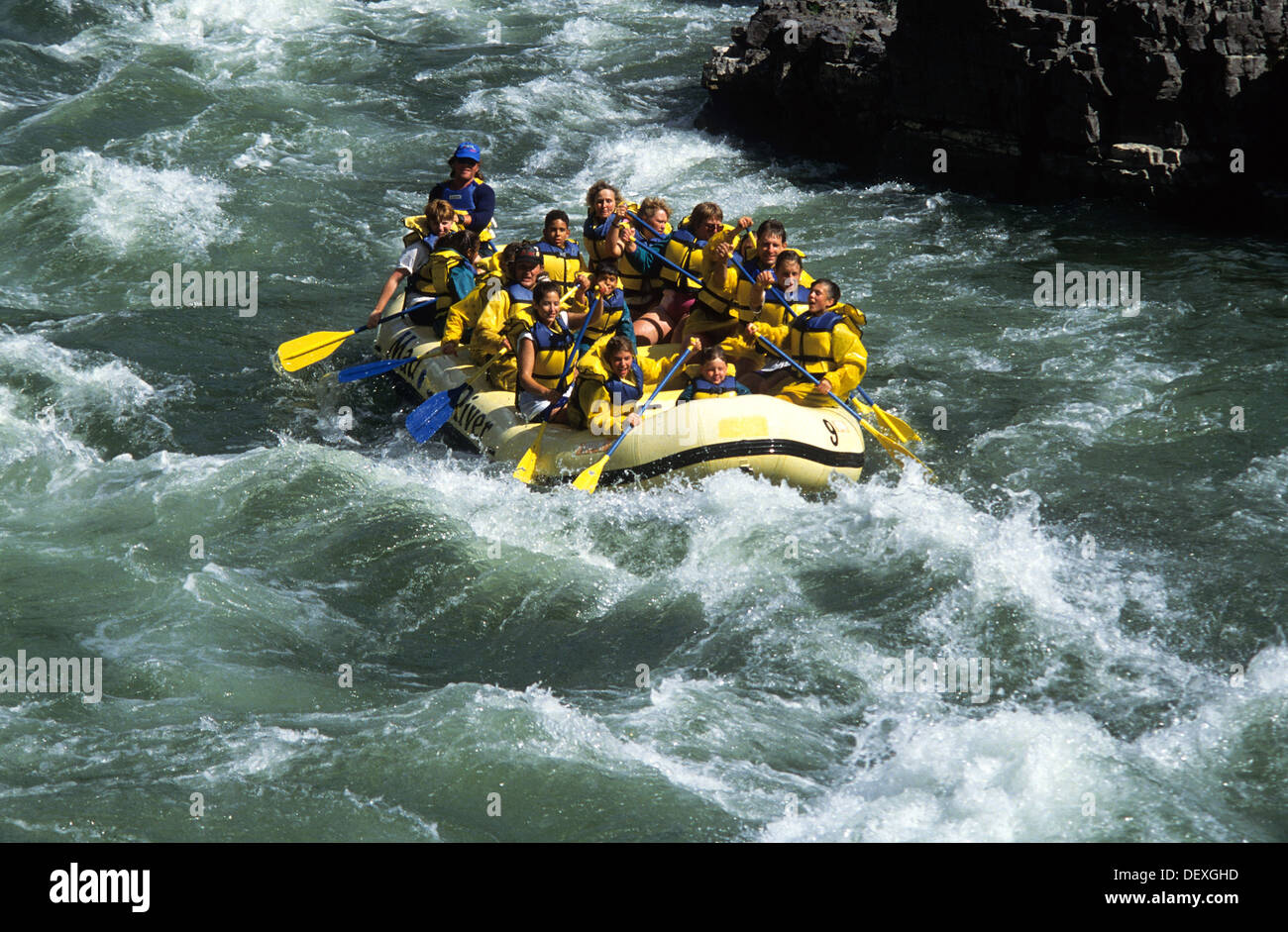 Elk2661257 Wyoming, Jackson Hole, Snake River, whitewater rafting