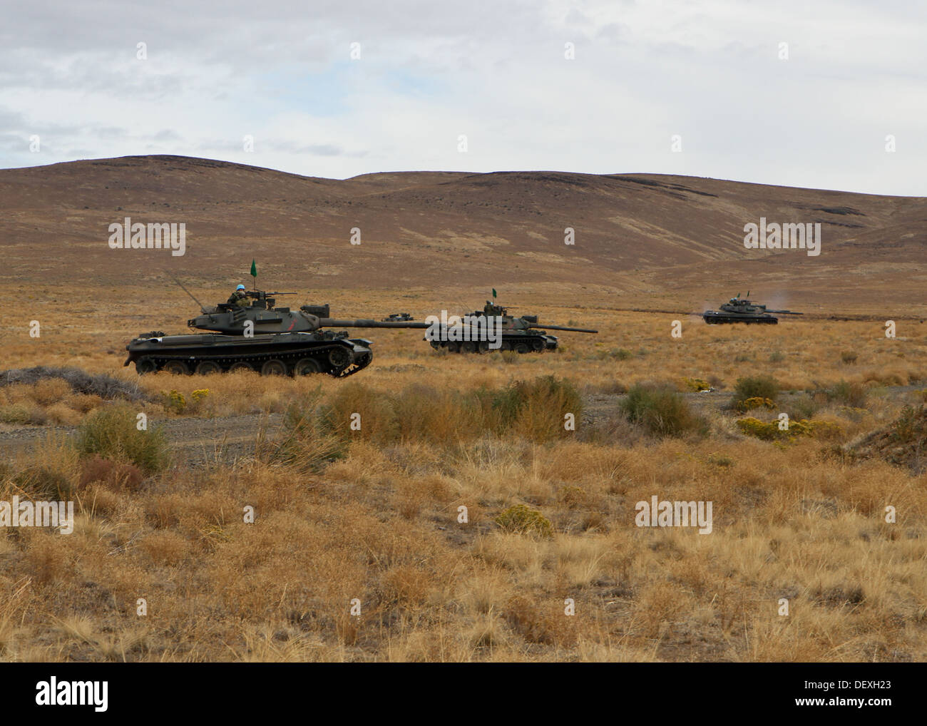 Japan Ground Self-Defense Force soldiers form a line with tanks after completing their part of a joint U.S. and Japanese live-fire exercise during exercise Rising Thunder 2013 at Yakima Training Center, Wash., Sept. 17, 2013. Rising Thunder is a U.S. Army Stock Photo