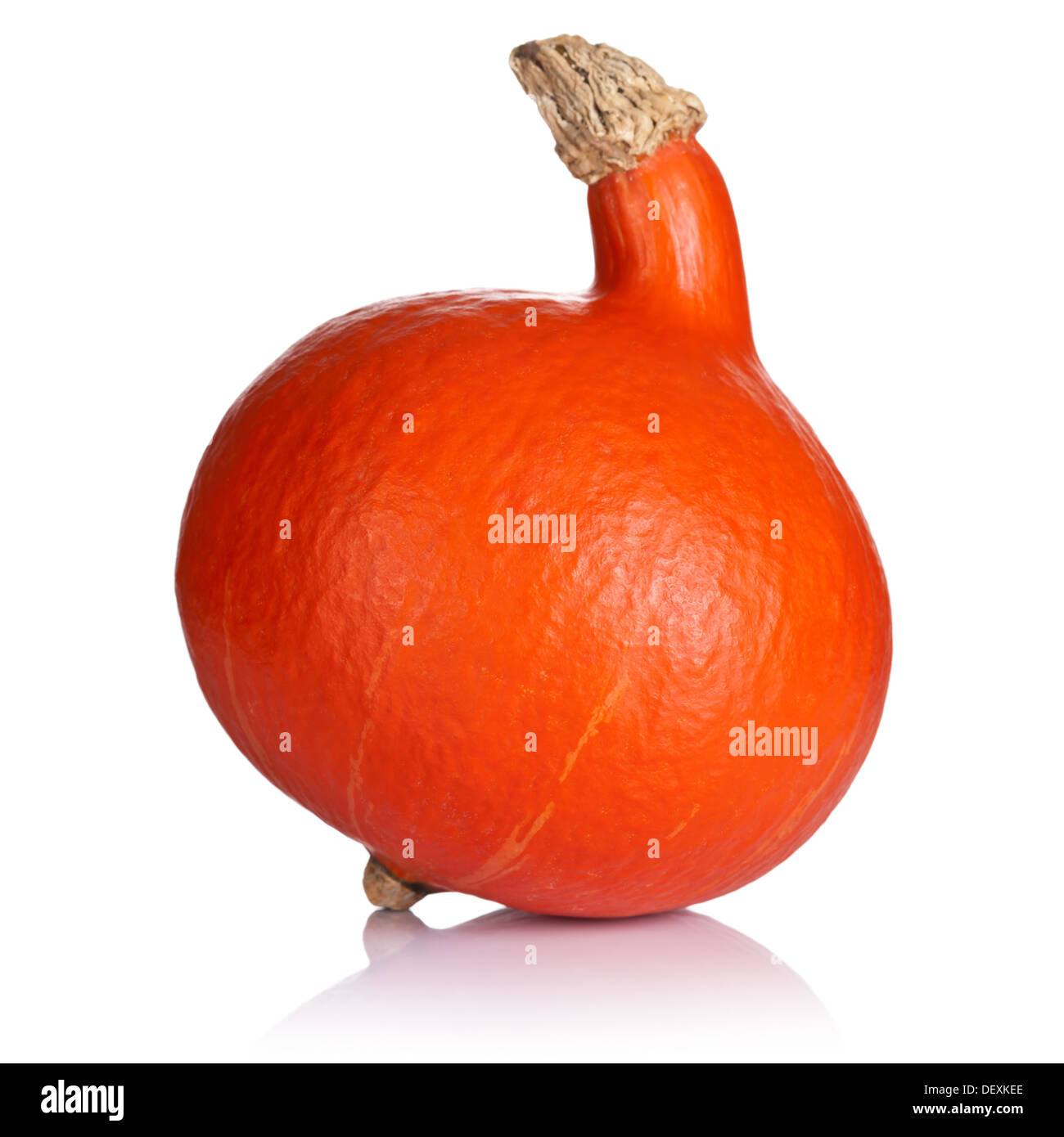 Orange pumpkin on white background. Fresh and ripe Stock Photo - Alamy
